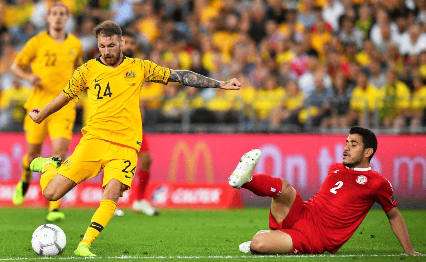 辛纳的稳定 辛纳的稳定