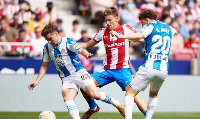 在巴黎奥运 在巴黎奥运