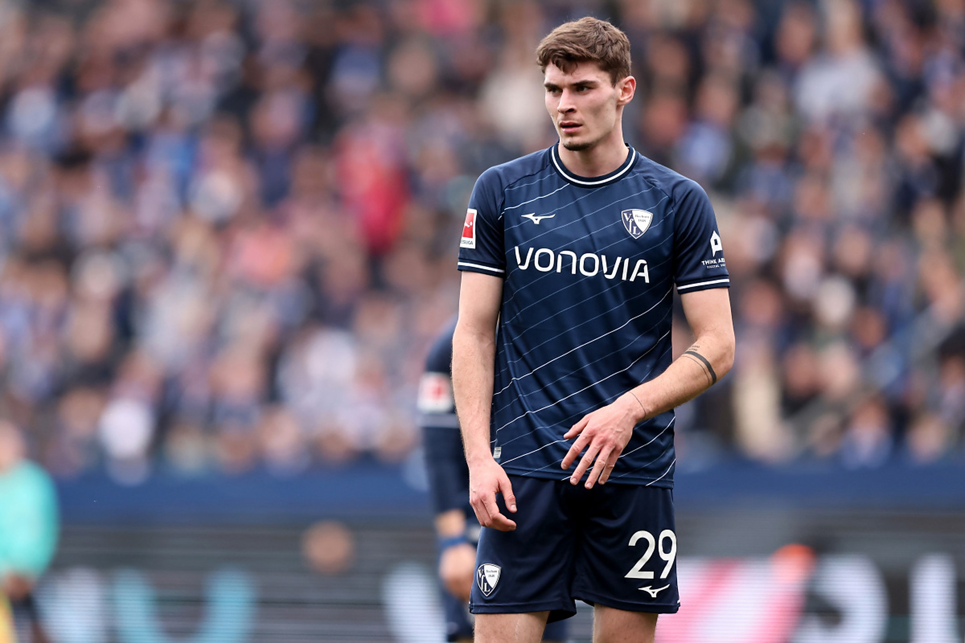 美丽的园林 美丽的园林