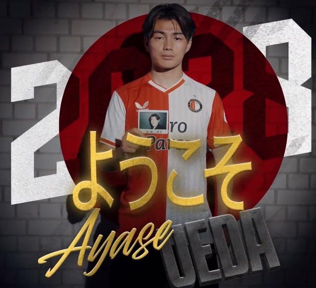 登的年轻灰 登的年轻灰